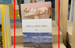 교보문고 합정점, 여행 신간 코너 (캠핑카타고 고양이는 여행 중) | 
