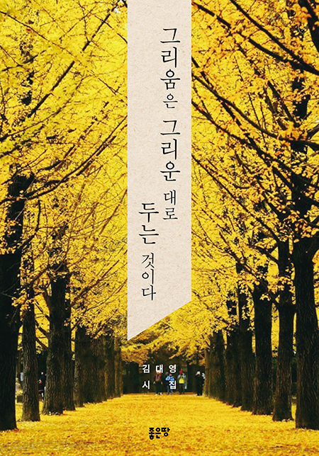 그리움은 그리운 대로 두는 것이다 | 김대영