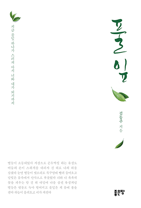 풀잎 | 김동주