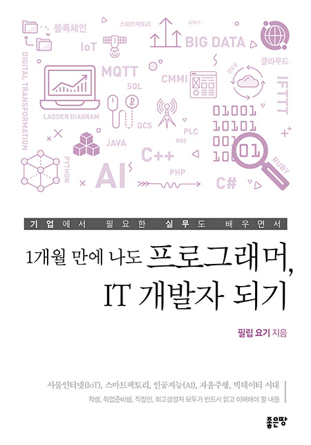 1개월 만에 나도 프로그래머, IT 개발자 되기 | 필립 요기