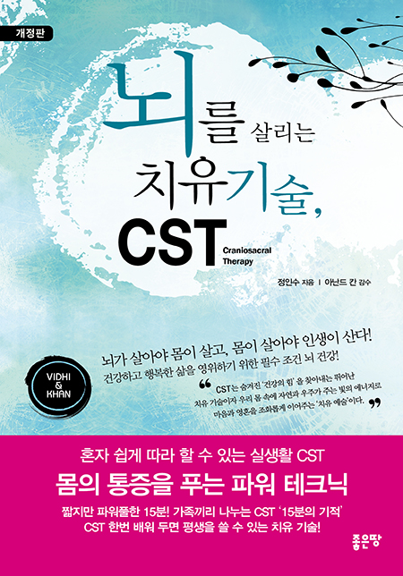 뇌를 살리는 치유 기술, CST(개정판) | 정인수